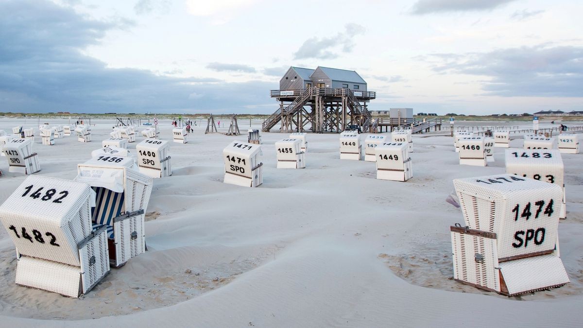 Einheitliche Strandkörbe auf einer Strandfläche